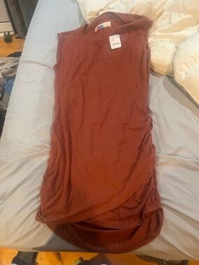 Free people rust brown dress